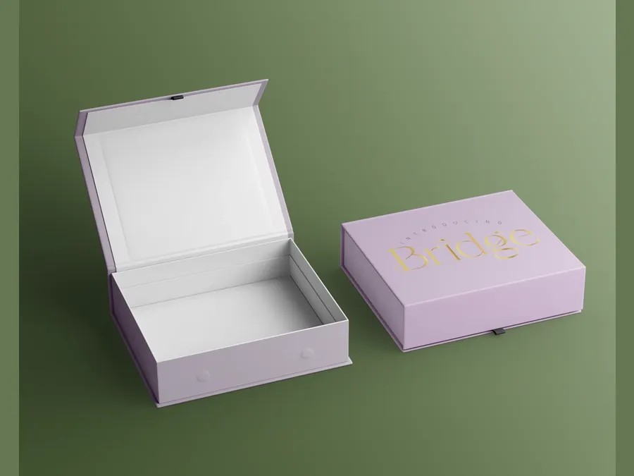 Magnetic rigid box — packaging style reference