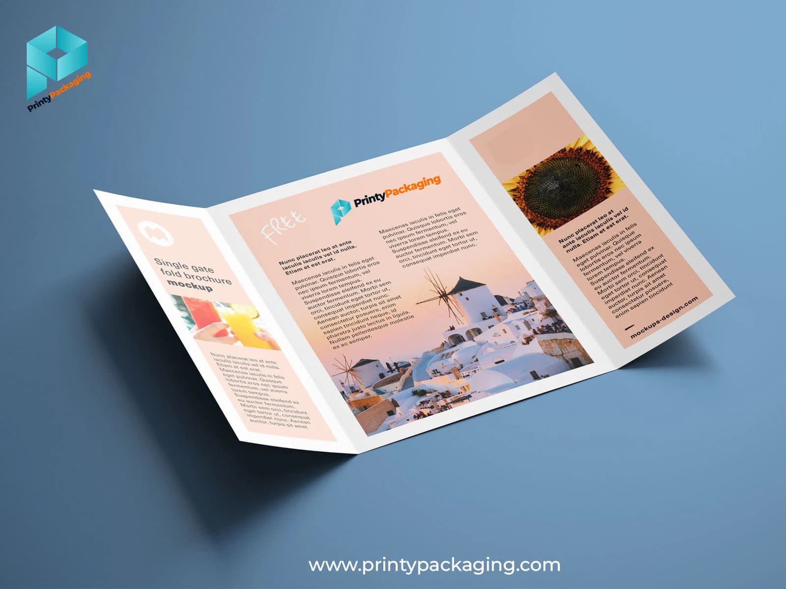 Custom printed brochure example 1